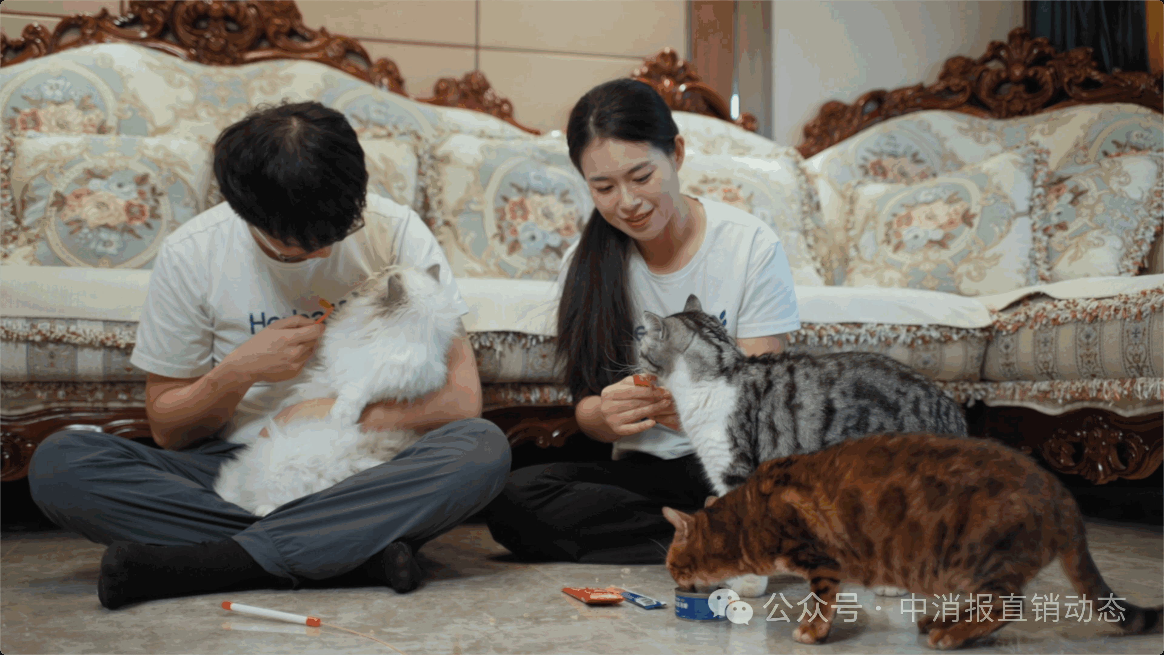 微信圖片_2025-07-09_102357_495.png 微信圖片_2025-07-09_102357_495.png